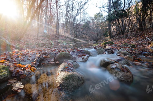 Preview: Creek in autumn forest sunset. Fall season in forest