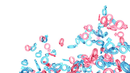 Preview: Lots of female and male gender signs floating on white background. Crystal blue and pink symbols.