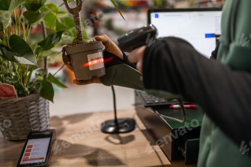 Preview: Houseplant shop