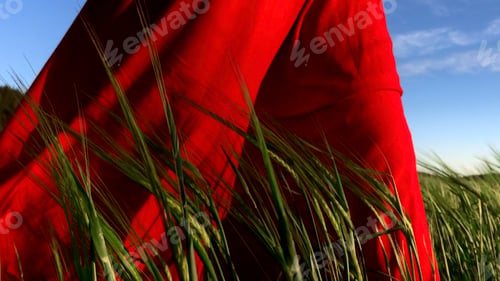 Preview: Young pretty girl woman meditating with closed eyes. Stock clip. Praying while standing in a field