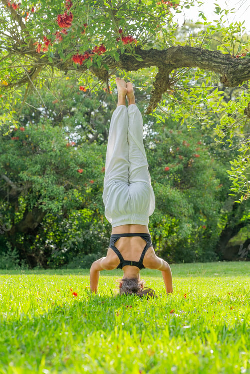 Preview: Rear View of Young Woman Standing on her Heads Doing Yoga in a Green Park.Vertical Image
