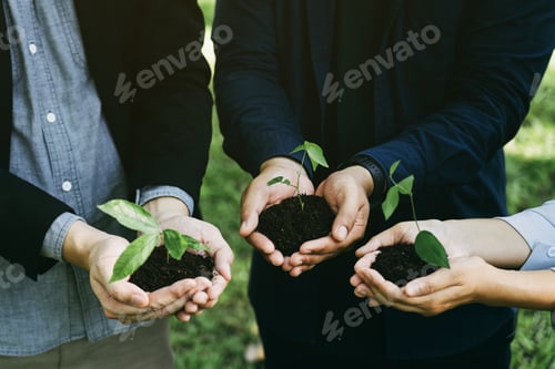 Preview: Concept of the Environment World Earth Day. Business hands holding green plants