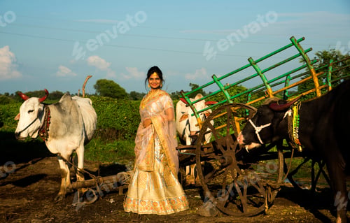 Preview: Beautiful Indian bride on bullock cart at village