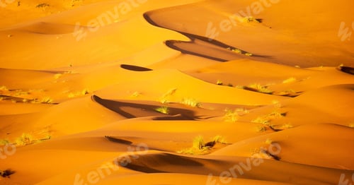 Preview: A Beautiful and Breathtaking Erg Chebbi, Morocco pictures
