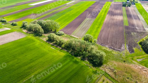 Preview: Colorful agriculture farmland and crop fields. Aerial drone view