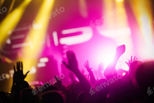 Preview: Picture of dancing crowd at music festival