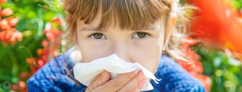 Preview: Seasonal allergy in a child. Coryza. Selective focus.