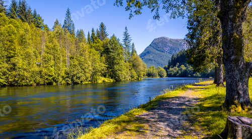 Preview: Trail Next To River In Scenic Woodland