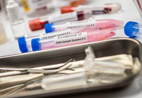 Blood Samples Labeled Evidence in Forensic Lab
