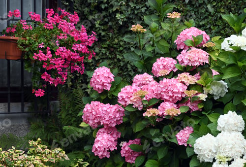 Preview: Beautiful floral garden