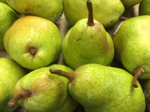 Preview: Background of green ripe pears. Autumn fruit
