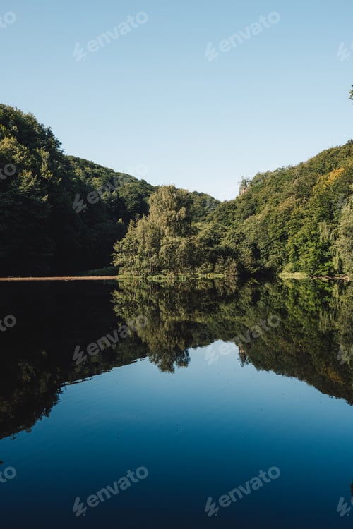 Preview: Serene Forest Reflection