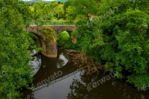 Preview: Tranquil river in green vegetation with aged bridge