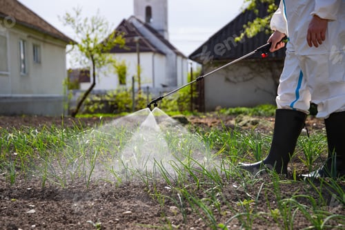 Preview: Farmer spraying fertilizer. Pest control and plant diseases to obtain a large harvest