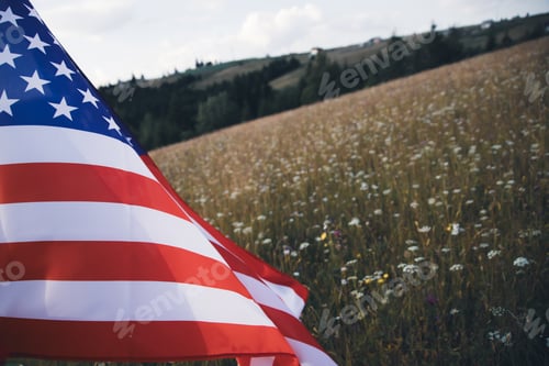 Preview: USA flag on the meadow