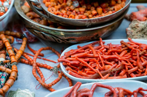 Preview: Pieces of dried red coral, close-up photo.