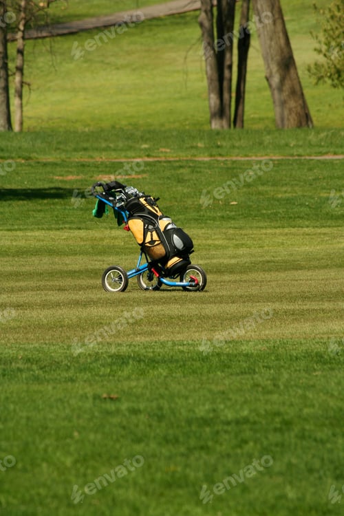 Preview: Golf bag on the fairway of a course