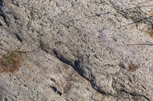 Preview: texture of a boulder with moss
