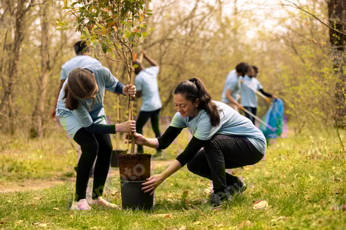 Preview: Mom and her little girl taking a tree out of the pot and plant it