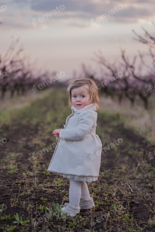 Preview: Little toddler girl in white coat stands in field, among blooming peach rose gardens at sunset