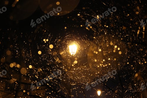 Preview: Low angle shot of a street light seen through the trees on a rainy night