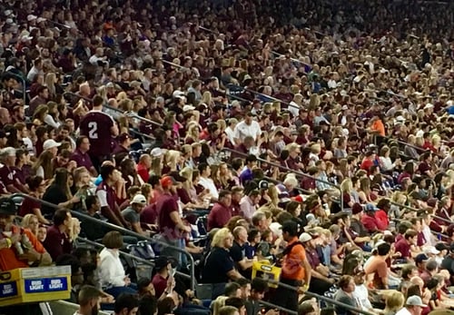 Preview: Full frame Crowd in stadium at football game