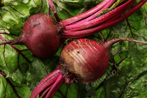 Preview: Beets and greens