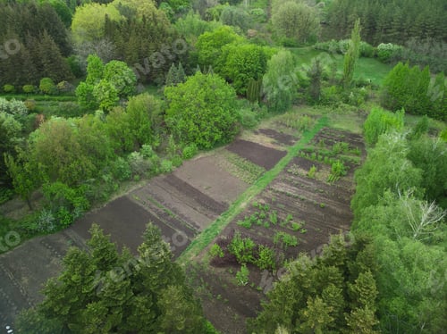 Preview: Green vegetable garden, Europe Ukraine, top view