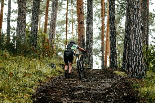Preview: Male Cyclist Mountainbiker