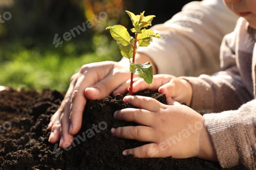 Preview: Mother and daughter planting young tree in garden, closeup