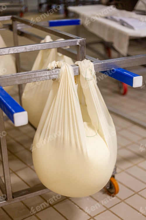 Preview: parmigiano reggiano hard grate cheese industrial production cooking process plant