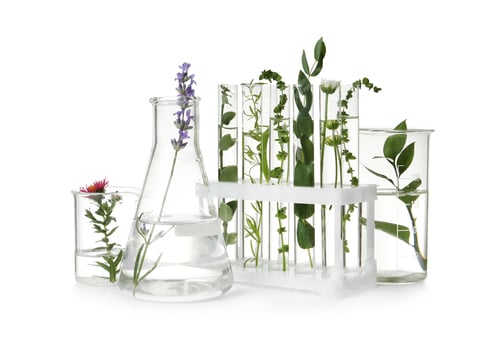 Preview: Test tubes and other laboratory glassware with different plants on white background