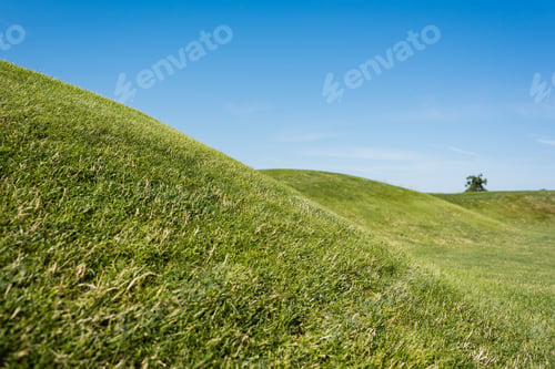 Preview: selective focus of green grass against blue sky in summer