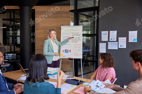 Preview: Mid adult businesswoman presenting company strategy to her teamwork