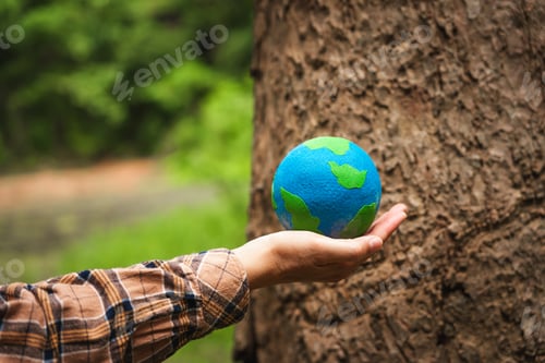 Preview: Forest conservationist holds small globe in hands,symbolizing global responsibility for protecting