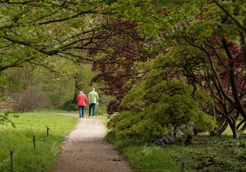 Preview: Red and Green, senior couple walking in a park, both with a stick
