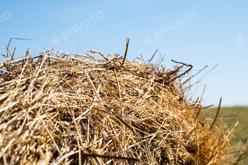 Preview: Straw Bale Against Blue Sky, Close Up. Agriculture or Harvesting Concept.