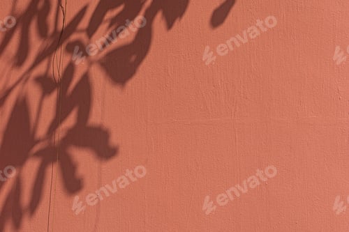 Preview: Shadow of leaves on an orange wall