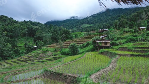 Preview: Rice terraces and wooden hut on cloudy day