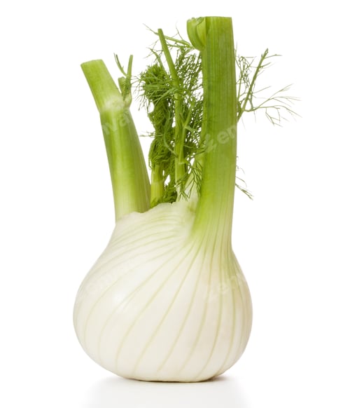 Preview: Fresh fennel bulb isolated on white background close up