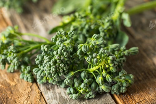 Preview: Raw Green Organic Broccolini