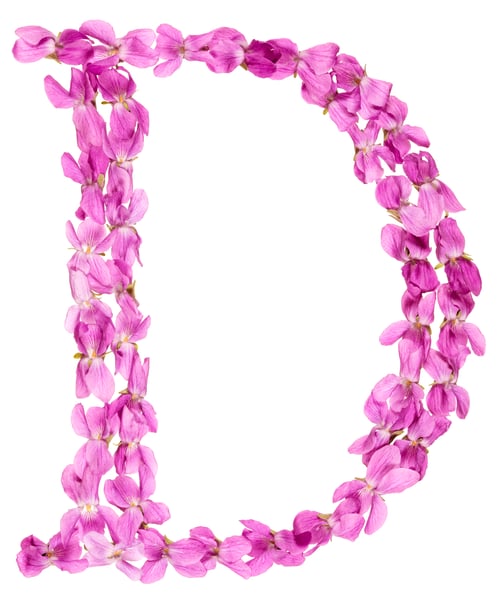 Preview: Letter D from alphabet, from flowers of violet, isolated on white background