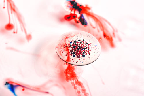 Preview: Blood cell smear under microscope for vaccine research, Bacterias and micro organisms colonies