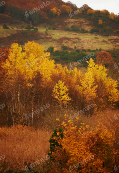 Preview: Colours of autumn