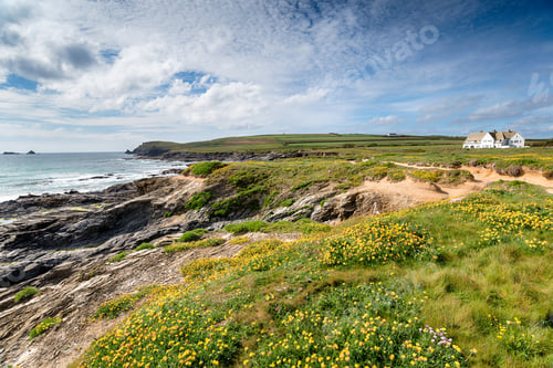 Preview: Summer at Boobys Bay in Cornwall