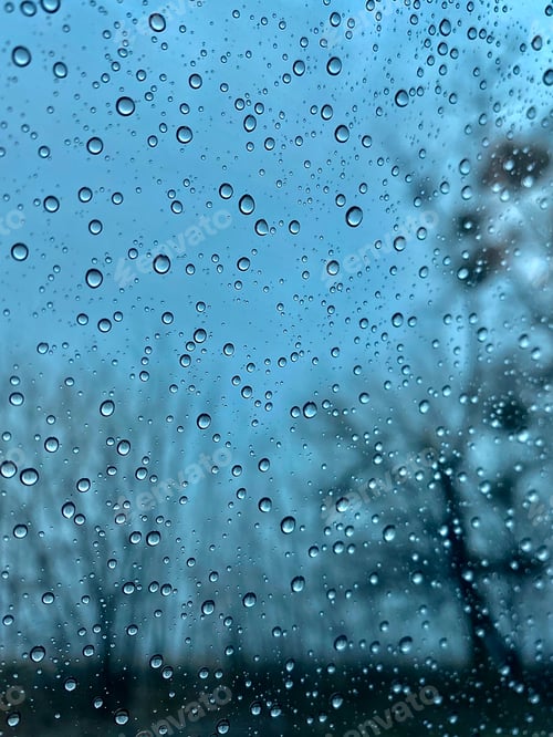 Preview: Rain drops on the glass. Blue sky and dark trees.
