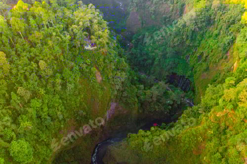 Preview: Green trees in national park garden in summer season. Nature landscape background.