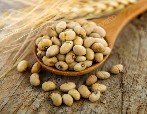 Preview: Soy beans in wood spoon