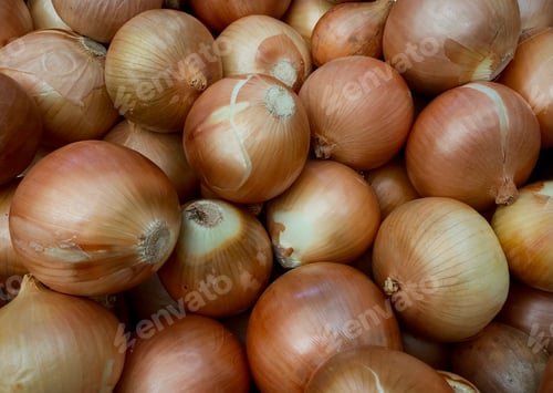 Preview: Onions
