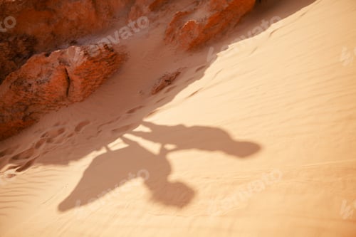 Preview: couple travel sand dune
